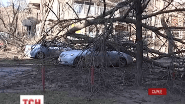 В Харькове непогода наделала беды