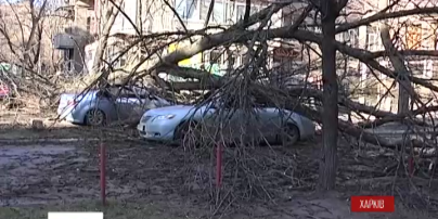 В Харькове непогода наделала беды
