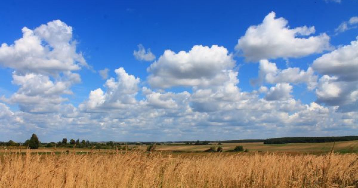 Почему не правильно говорить "все ясно"