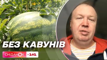 Без кавунів: коли відновлять херсонські землі