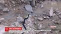 Ползучая опасность. После укусов ядовитых змей на Львовщине госпитализировали четырех человек