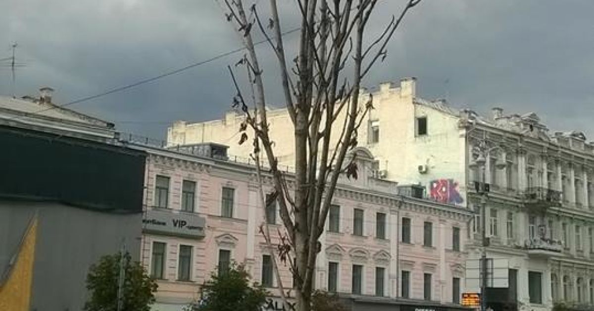 каштани бріоні_2 / © Александр Соколенко /Facebook