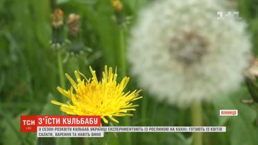 У сезон розквіту кульбаб українці експериментують з рослиною на кухні