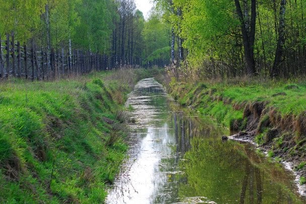Меліоративний канал в заказнику «Зубр» Автор: Нечипорук Максим Анатолійович / © соцмережі