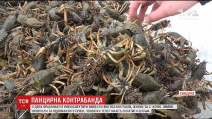 На Сумщине поймали селян-браконьеров, которые выловили полтысячи раков