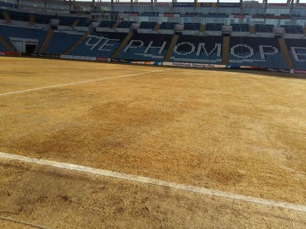 Газон "Черноморца" перед стартом весенней части УПЛ. / © ФК Карпаты