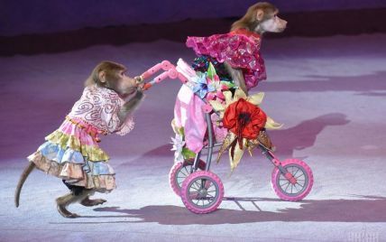 В 2020 году из государственных цирков исчезнут представления с животными - Бородянский