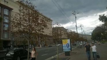 каштани бріоні_7 / © Олександр Соколенко /Facebook