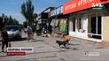 Новые правила комендантского часа!