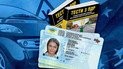 Водійські посвідчення