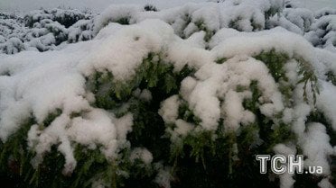 Так виглядає засніжений курорт / © ТСН