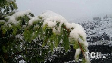Так виглядає засніжений курорт / © ТСН