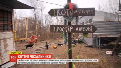 Черкасская ветеринарная клиника ищет обнимателя котов