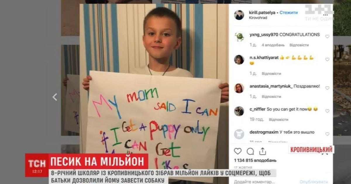 8-річний кропивничанин назбирав мільйон лайків з усього світу, щоб йому подарували песика