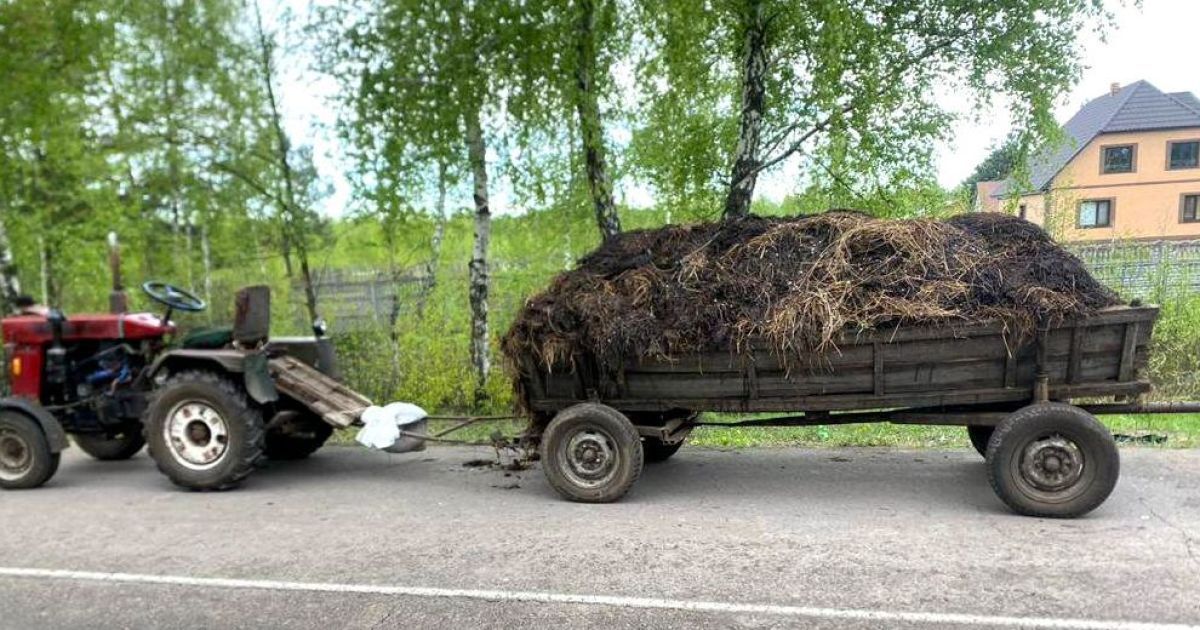 10-летний мальчик погиб под колесами гужевой подводы в Ровенской области