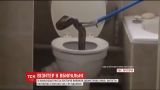 У туалеті столичного будинку ПАР знайшли двометрову отруйну змію