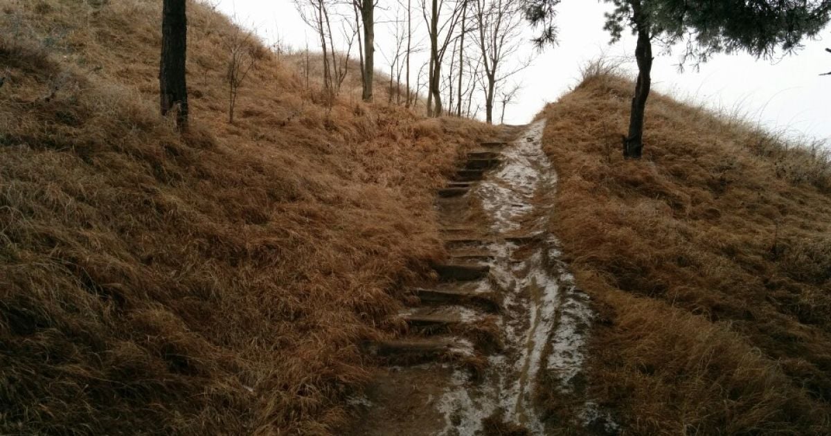 В Киеве на Лысой горе обнаружили более полусотни мин