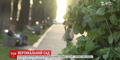 На місці, де раніше стояв пам'ятник Леніну, висадили їстівну клумбу