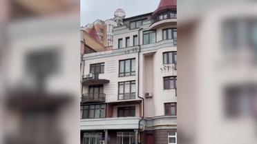 В Киеве боевая белка из агентуры ГУР выполняет тайное задание на Оболонской набережной