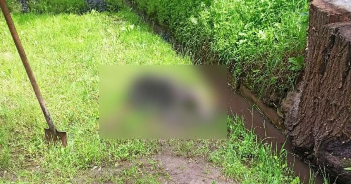 В Полтаве нашли в ливневой канализации труп мужчины, который осенью пропал без вести (фото)
