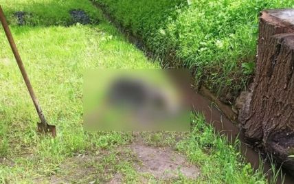 В Полтаве нашли в ливневой канализации труп мужчины, который осенью пропал без вести (фото)