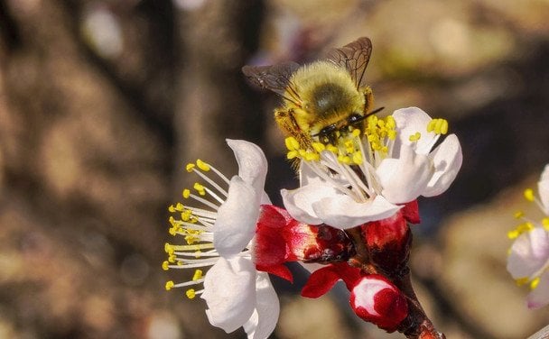 Народные приметы 6 апреля / © pexels.com