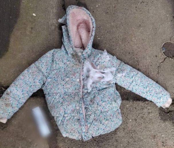  / © Поліція Київської області