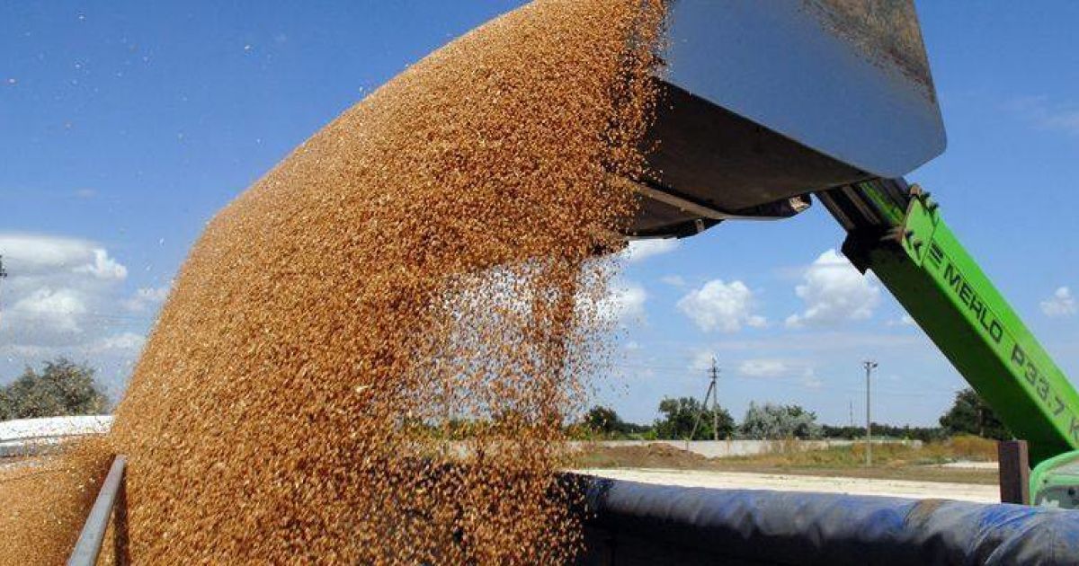 Украина существенно сократила объемы экспорта агропродукции в Росси.
