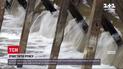 Новости Харькова: в городе установили первый в Украине речной мусорный капкан