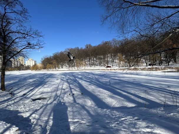 Морозный солнечный день в Киеве / © Наталия Диденко / Facebook