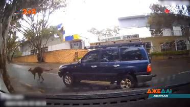 Добірка новин світу за 28 жовтня 2021 року