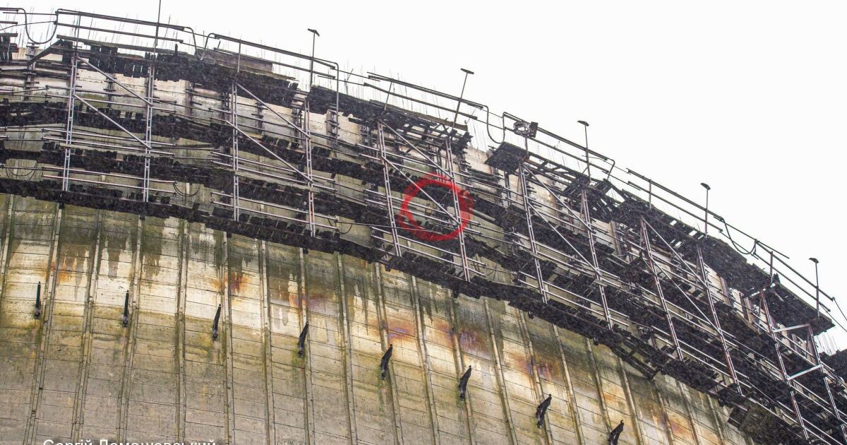 У Чорнобилі на градирні ЧАЕС оселився великий хижий птах - пугач