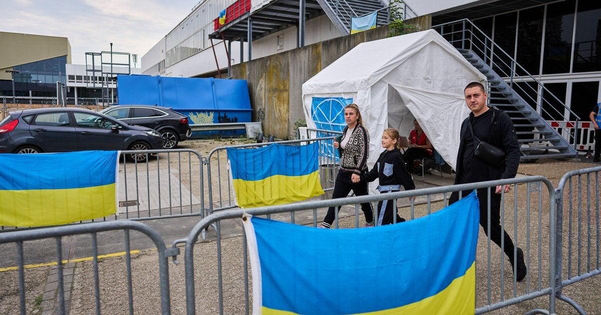 Українські біженці у Нідерландах