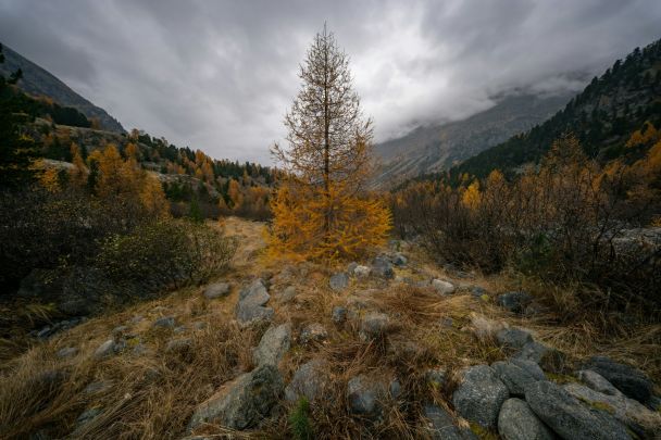 Народні прикмети 10 листопада / © Unsplash