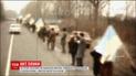 Украина готовится отмечать День Соборности