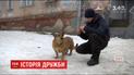 Невероятная история дружбы между мальчиком и собакой