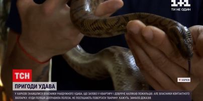 Новости Украины: в Харькове нашли хозяев питона-беглеца