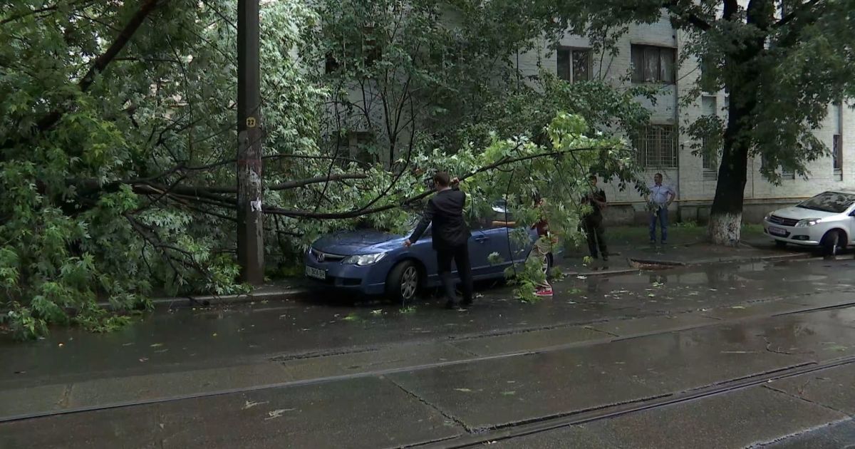Поваленные деревья и подтопленные улицы. По Киеву пронесся мощный ливень