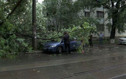 Поваленные деревья и подтопленные улицы. По Киеву пронесся мощный ливень