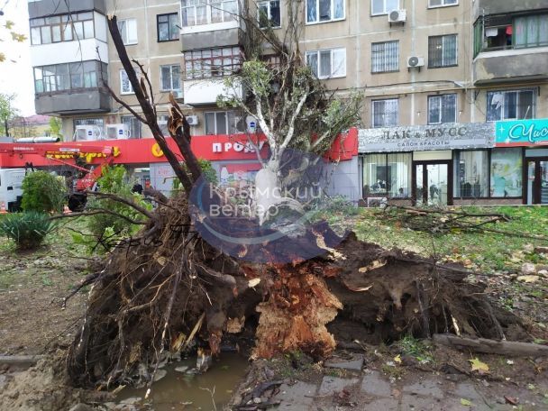 Наслідки стихії в Криму / © із соцмереж