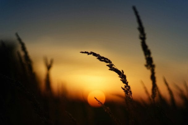 Народні прикмети 26 серпня / © unsplash.com