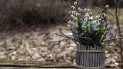 Погода на Вербное воскресенье и Пасху