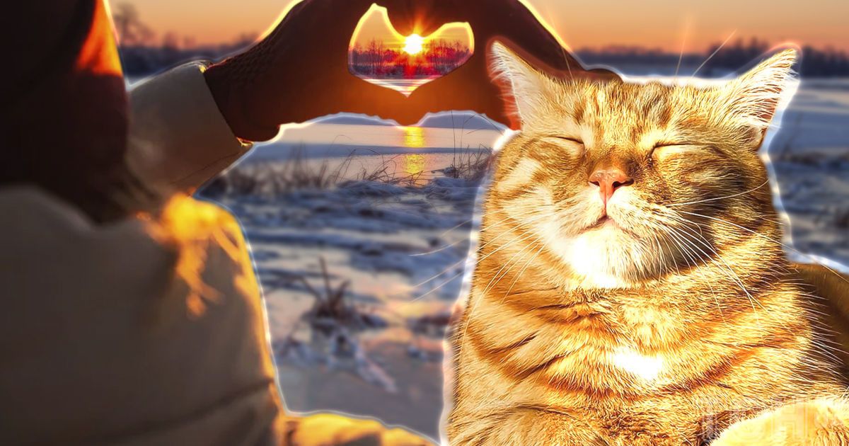 Синоптики поразили прогнозом на новую рабочую неделю / Коллаж ТСН.ua