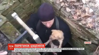 Винницкие чрезвычайники достали из канализационного колодца щенка