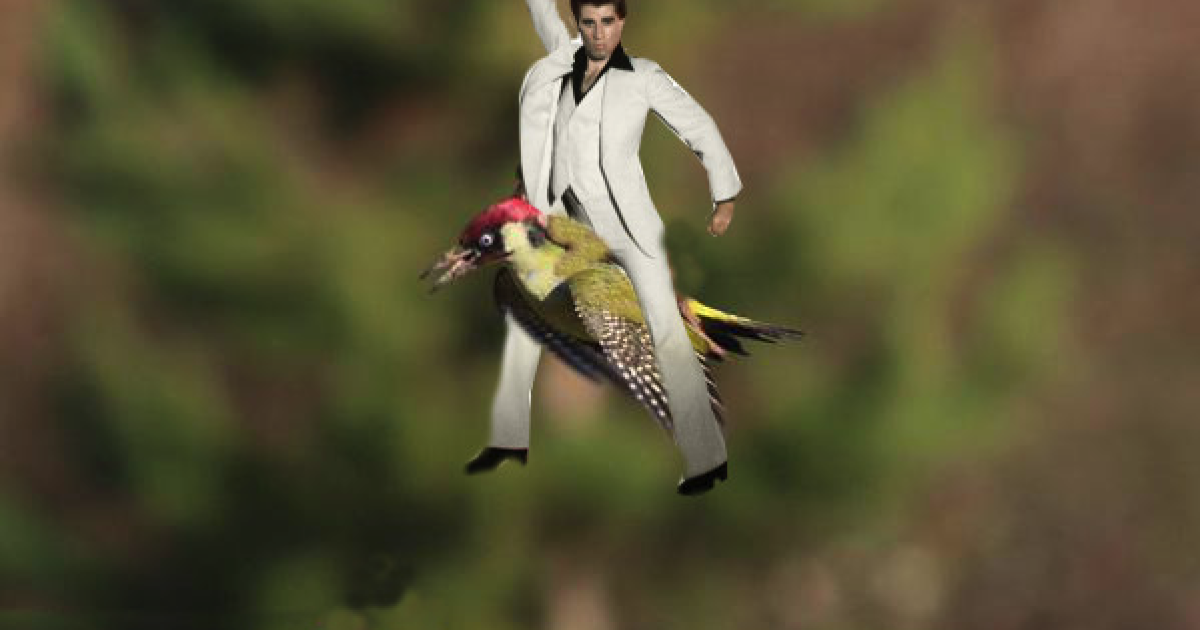 Фотограф Мартин Лемэй сделал замечательное фото ласки верхом на дятлі, а Интернет сразу отреагировал / © afp.com