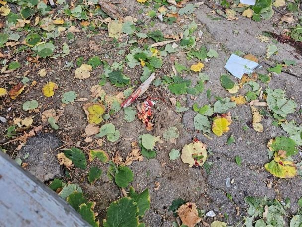Окупанти 3 листопада обстріляли центральну частину Херсона.