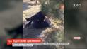 Соцмережами шириться відео, на якому 12-річну дівчинку в Одесі жорстоко б'є ровесниця