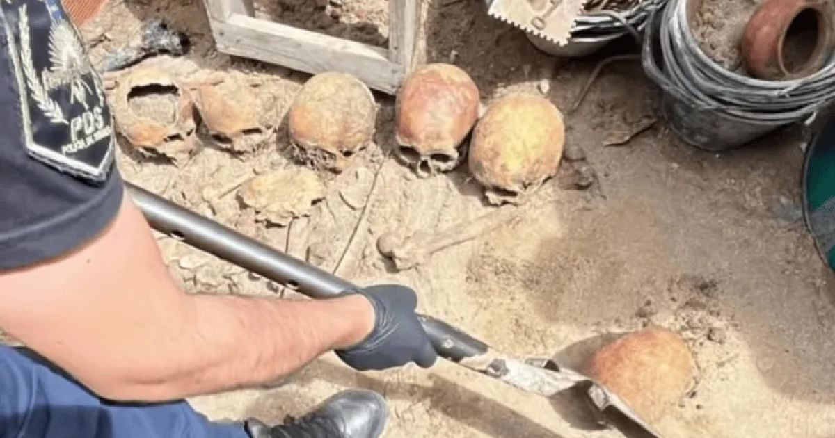 Знайдені черепи