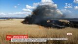 Огонь в Днепровских плавнях уничтожил два гектара сухих камышей