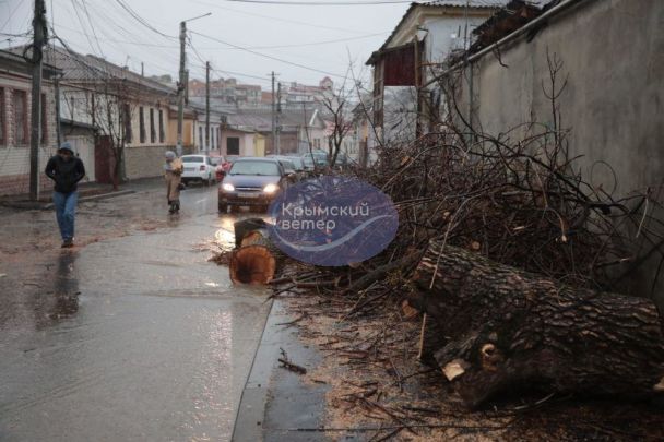 Наслідки стихії в Криму / © із соцмереж